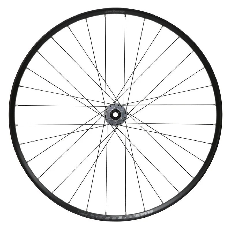 Elegant And Elegant Hope Fortus 23W Pro 5 29" Front Wheel - Silver - 110mm Boost